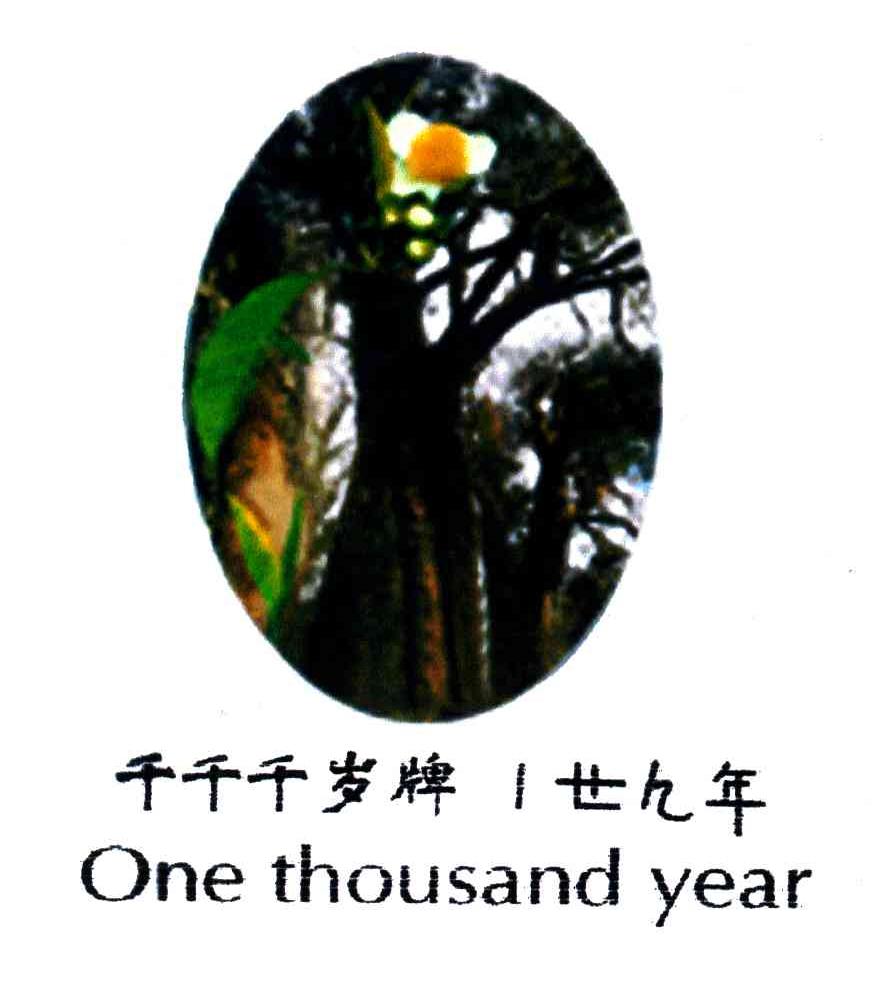 千千千岁牌；廿九年;ONE THOUSAND YEAR