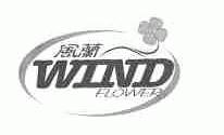 风兰;WIND FLOWER