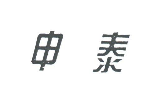 申泰