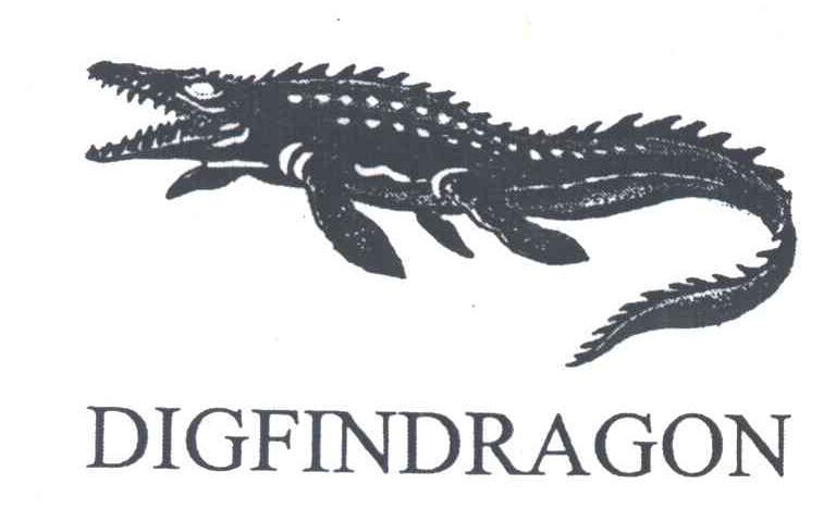 DIGFINDRAGON及图