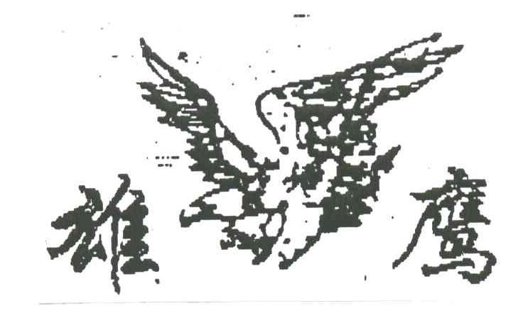 雄鹰