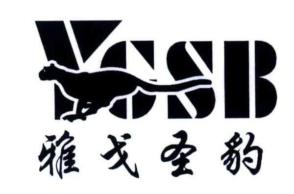 雅戈圣豹;YGSB