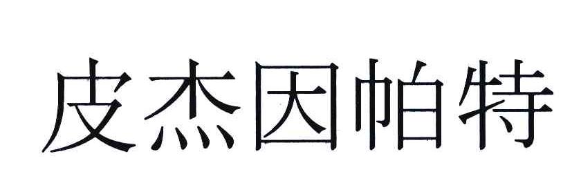 皮杰因帕特