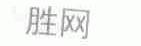 胜网