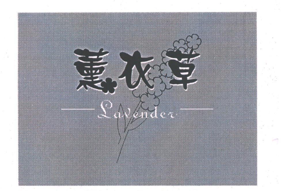 薰衣草;LAVENDER
