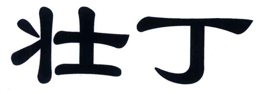 壮丁