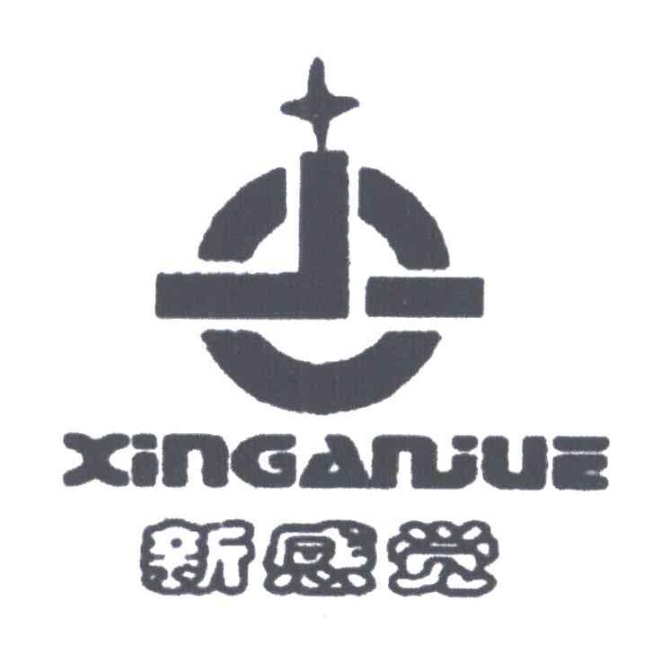 新感觉
