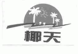 椰天