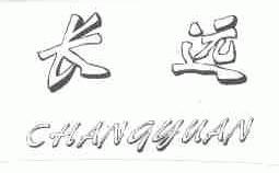 长远