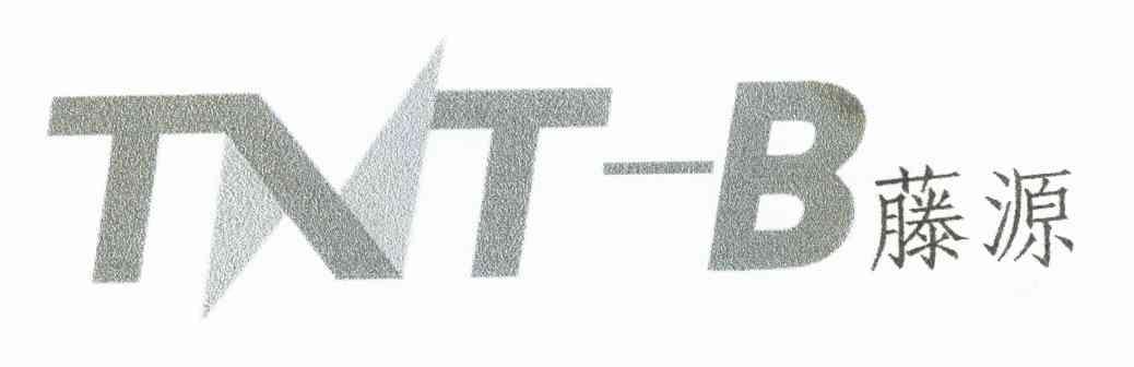 藤源 TNT-B