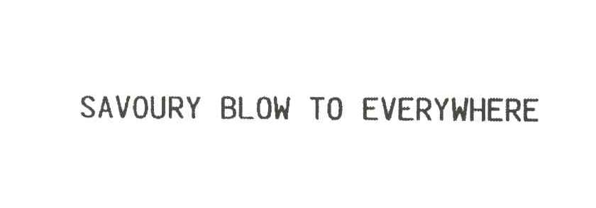 SAVOURY BLOW TO EVERYWHERE
