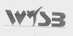 WSB