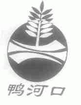 鸭河口