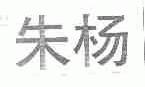朱杨