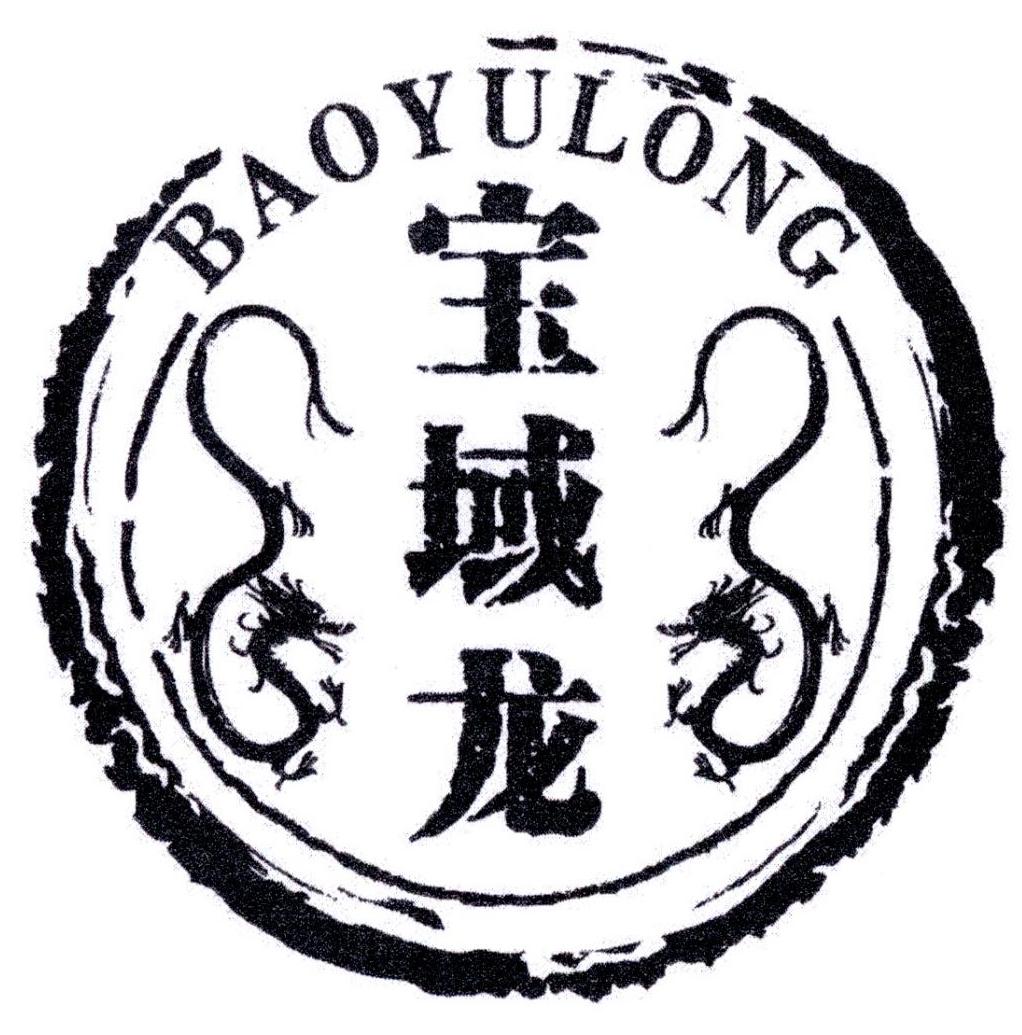 宝域龙