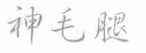 神毛腿