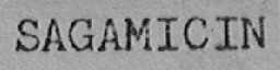 SAGAMICIN
