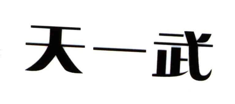 天一武