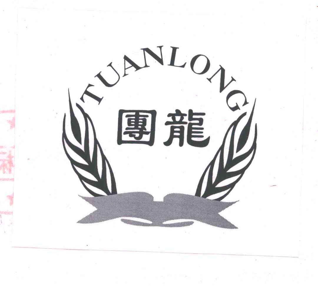 团龙