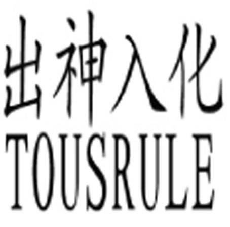 出神入化 TOUSRULE