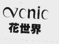 花世界   VCNIC