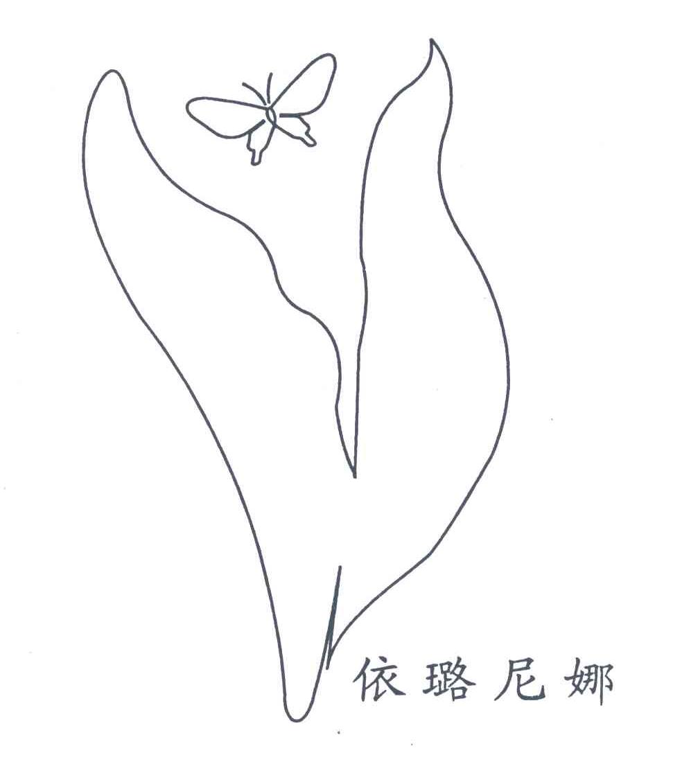 依璐尼娜