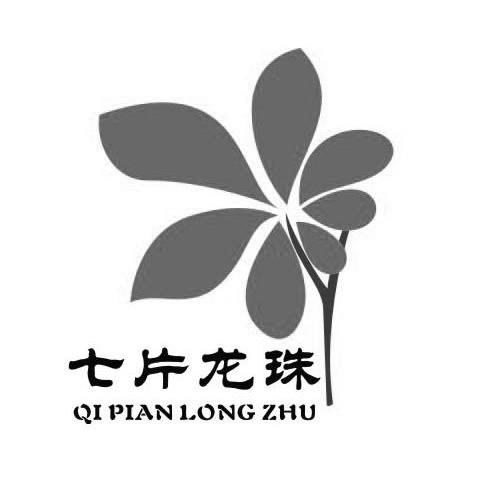 七片龙珠