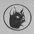 猫头