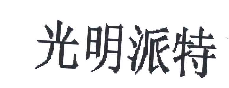 光明派特
