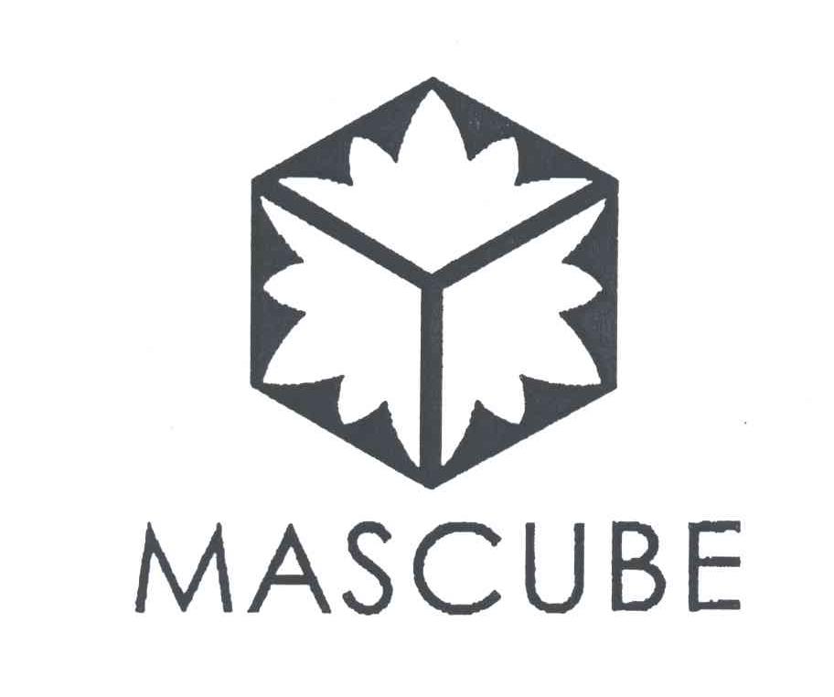 MASCUBE