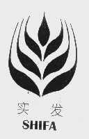 实发