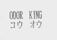 ODOR KING