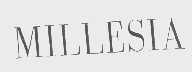 MILLESIA