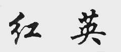 红英