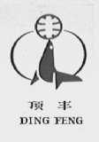 顶丰
