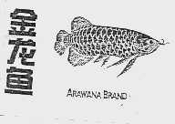 金龙鱼  ARAWANA