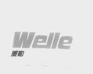 威勒   WELLE