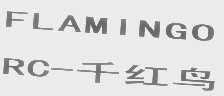千红鸟 FLAMINGO