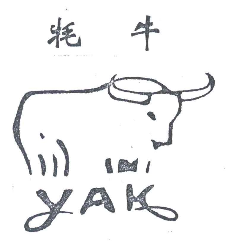 牦牛YAK