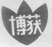 博获