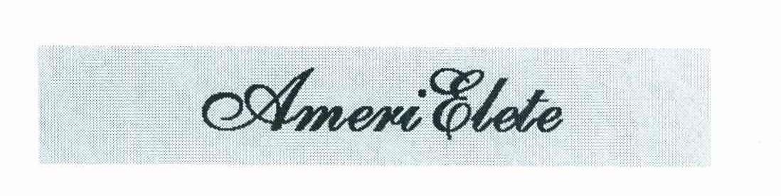 AMERI ELETE