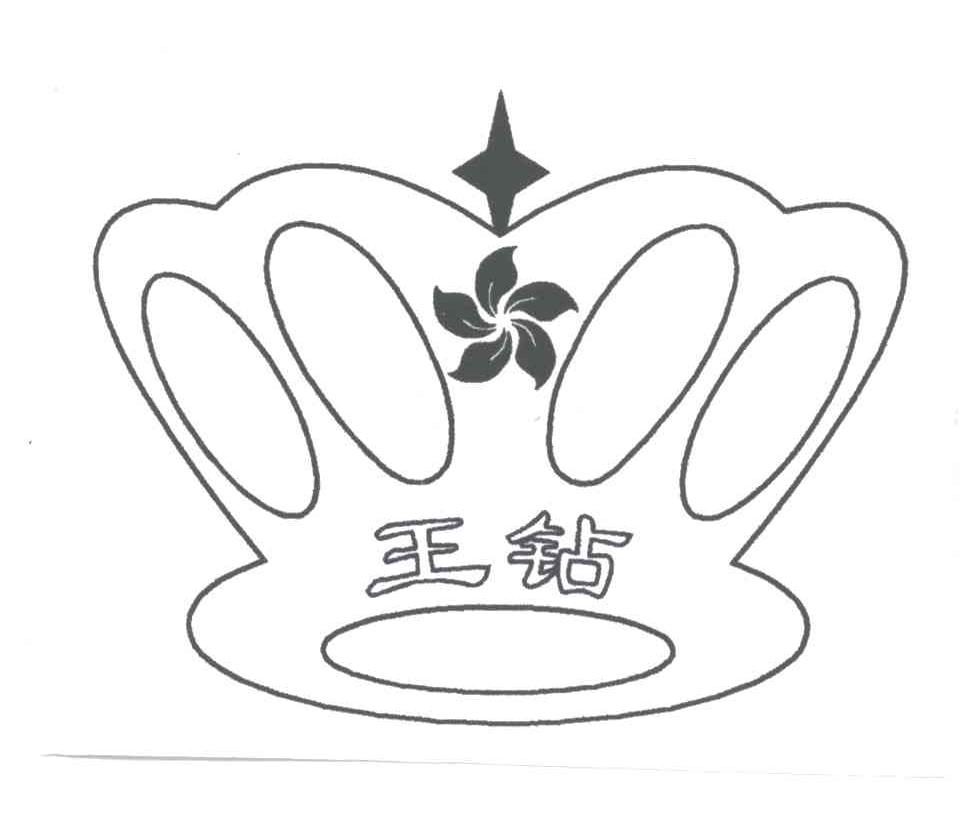 王钻