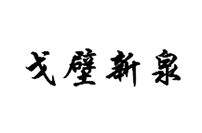 戈壁新泉