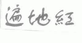遍地红