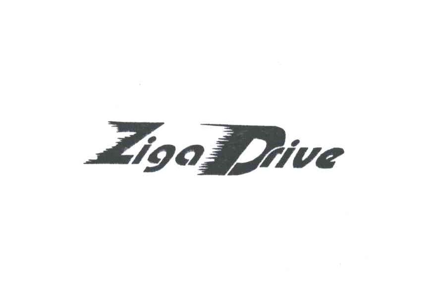 ZIGO DIVE