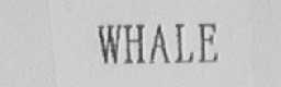 WHALE
