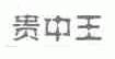 贵中王