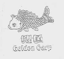 鲤鱼   GOLDEN CARP