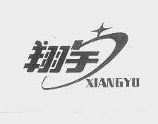 翔宇