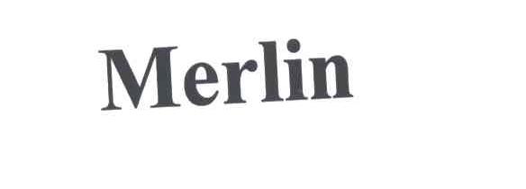 MERLIN